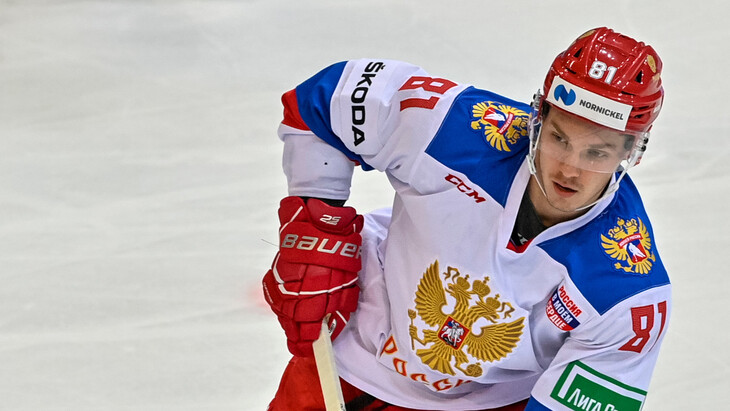 Владислав Каменев